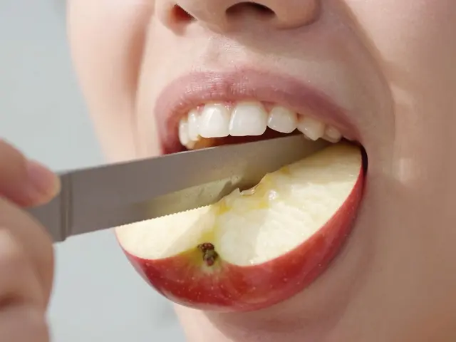 Jak názvy zubů (řezáky, špičáky, stoličky) ovlivňují naše stravovací návyky